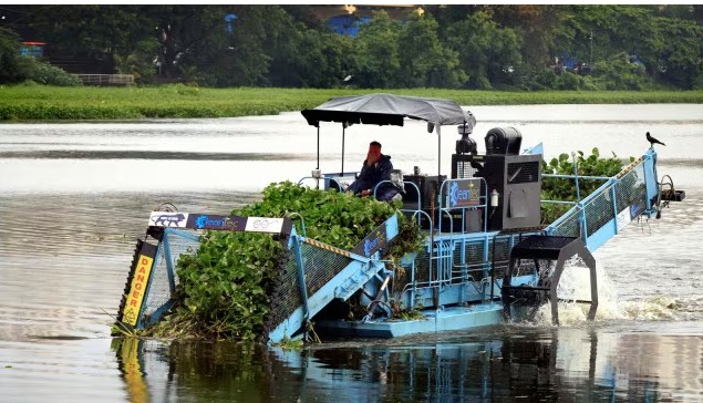 “Powai Lake Mumbai pollution and conservation efforts”